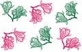 Patterns with magnolia. Magnolia illustration. Pattern with the image of pink and green magnolia on a white background.